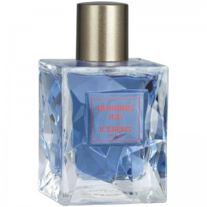 Iceberg Iceberg Burning Ice - Eau de Toilette за мъже 50 мл Iceberg Iceberg Burning Ice - Eau de Toilette за мъже 50 мл